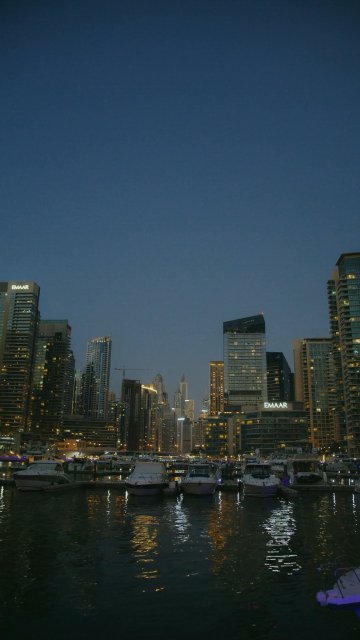 Night life